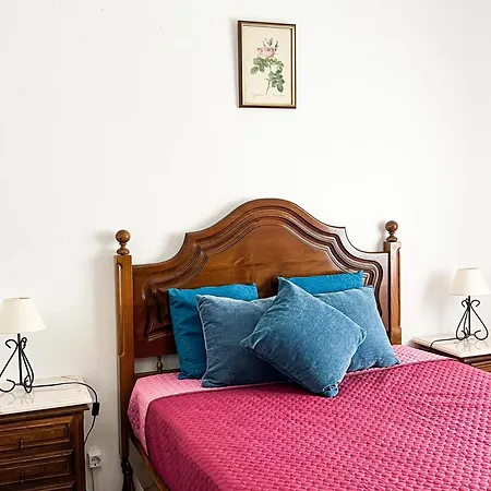 Casa Brito * アルブフェイラ